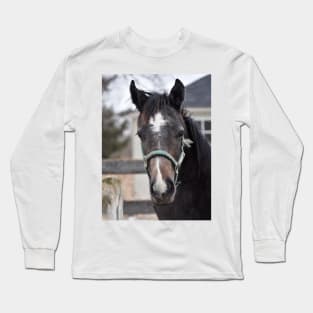 TB COLT Long Sleeve T-Shirt